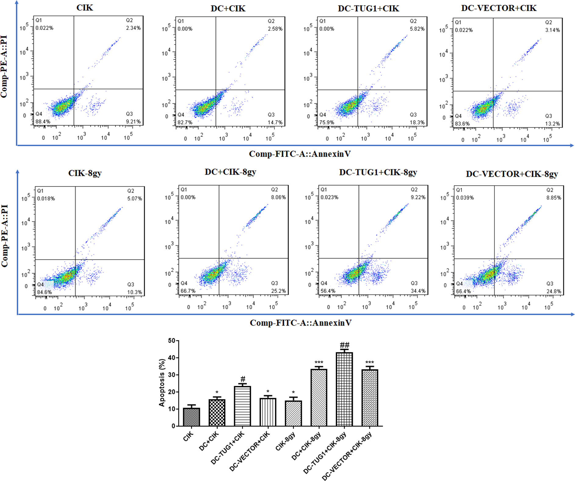 Overexpression Of LncRNA TUG1 Enhances The Efficacy Of DC CIK