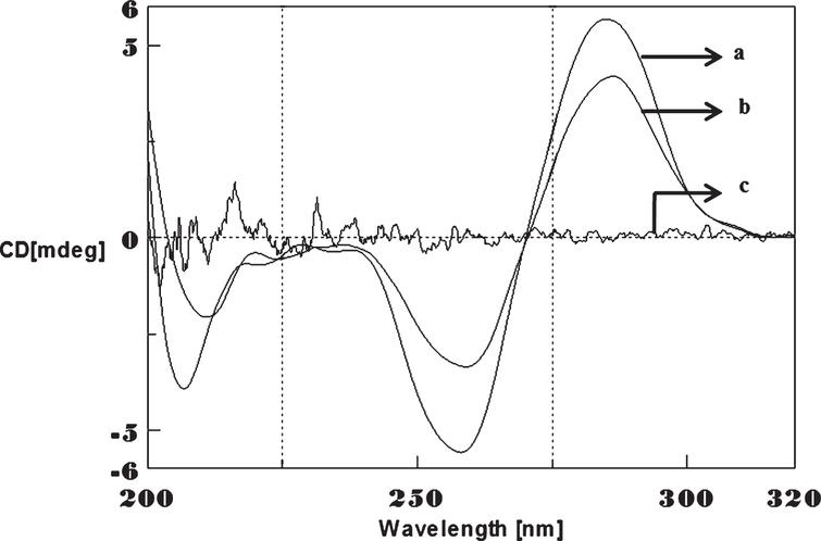 Studies on Copper and Aβ 1-16-Induced Conformational Changes in CAG/CTG ...