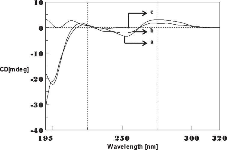 Studies on Copper and Aβ 1-16-Induced Conformational Changes in CAG/CTG ...