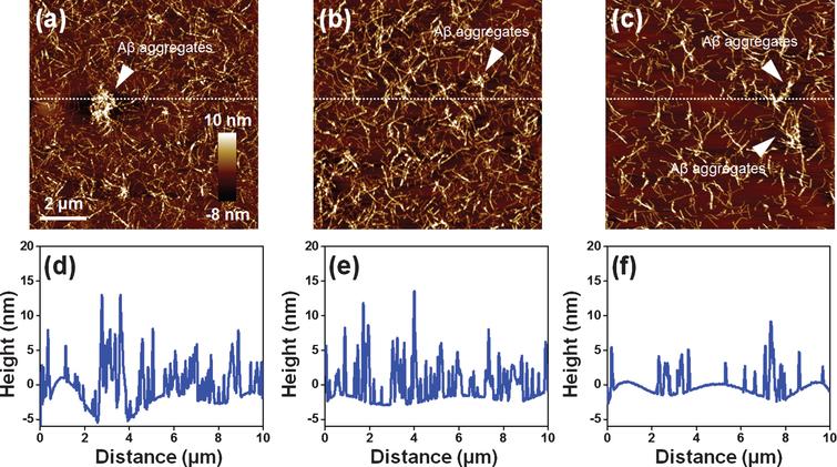 Atomic Force Microscopy Analysis of EPPS-Driven Degradation and ...