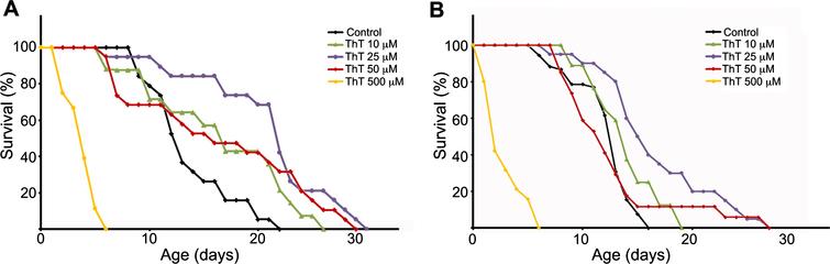 Effects Of Thioflavin T And Gsk 3 Inhibition On Lifespan And