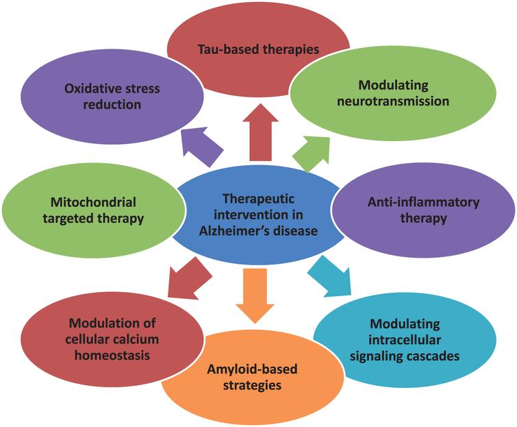 Neuroprotective Approach of Anti-Cancer Microtubule Stabilizers Against ...