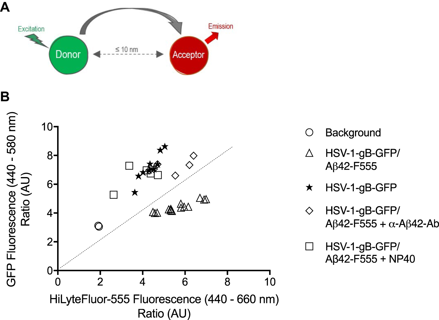 Interaction Mechanism Between The HSV-1 Glycoprotein B And The ...