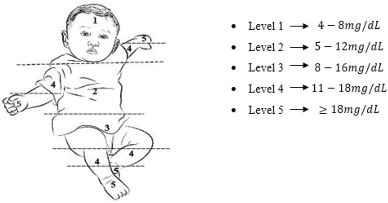 Care living instrument for neonatal infant connectivity solution ...