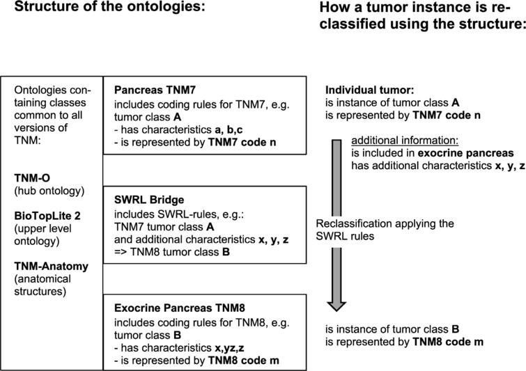 How Versioning Of Terminology Systems Can Be Supported By Ontological Models A Case Study On Tnm Tumor Classification Ios Press