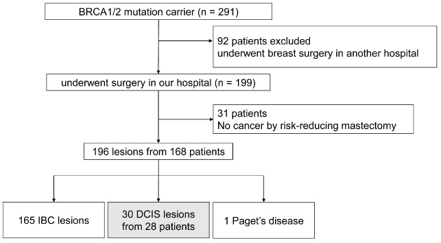 Clinicopathological and imaging features of ductal carcinoma in situ in ...