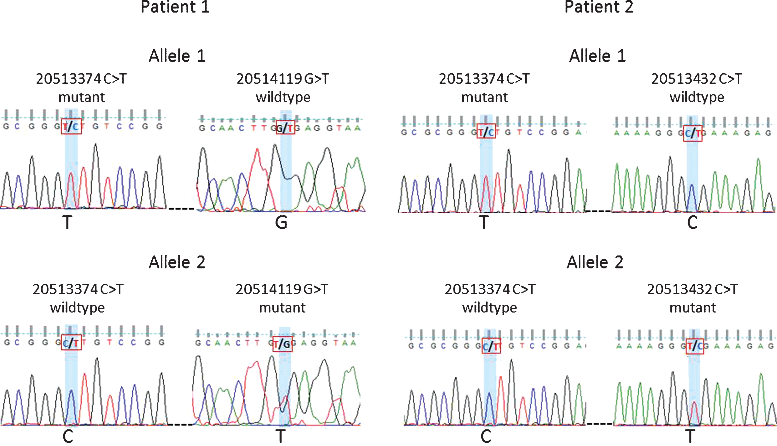 High-throughput DNA Sequencing Identifies Novel CtIP (RBBP8