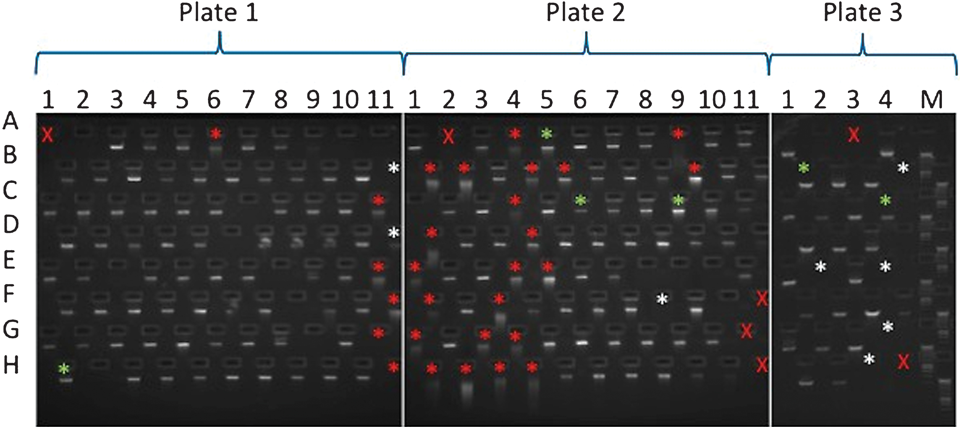 High-throughput DNA Sequencing Identifies Novel CtIP (RBBP8
