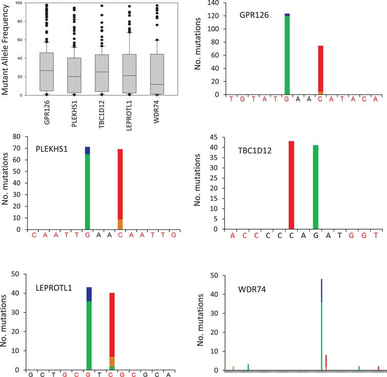 Non Coding Mutations In Urothelial Bladder Cancer Biological And Clinical Relevance And Potential Utility As Biomarkers Ios Press
