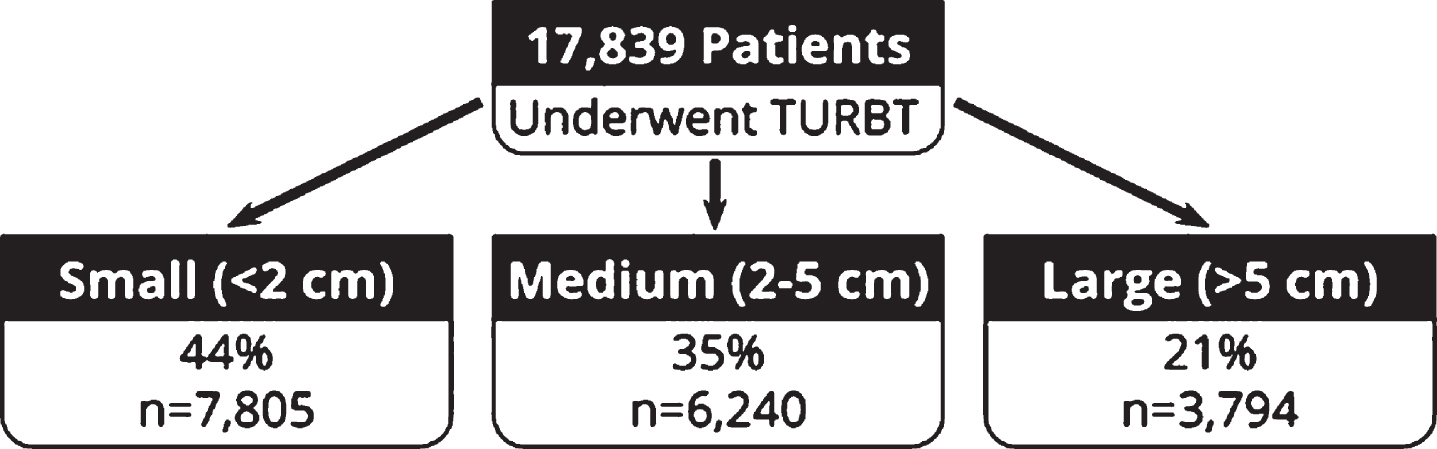 tur bladder tumor and green light laser prostate cpt code