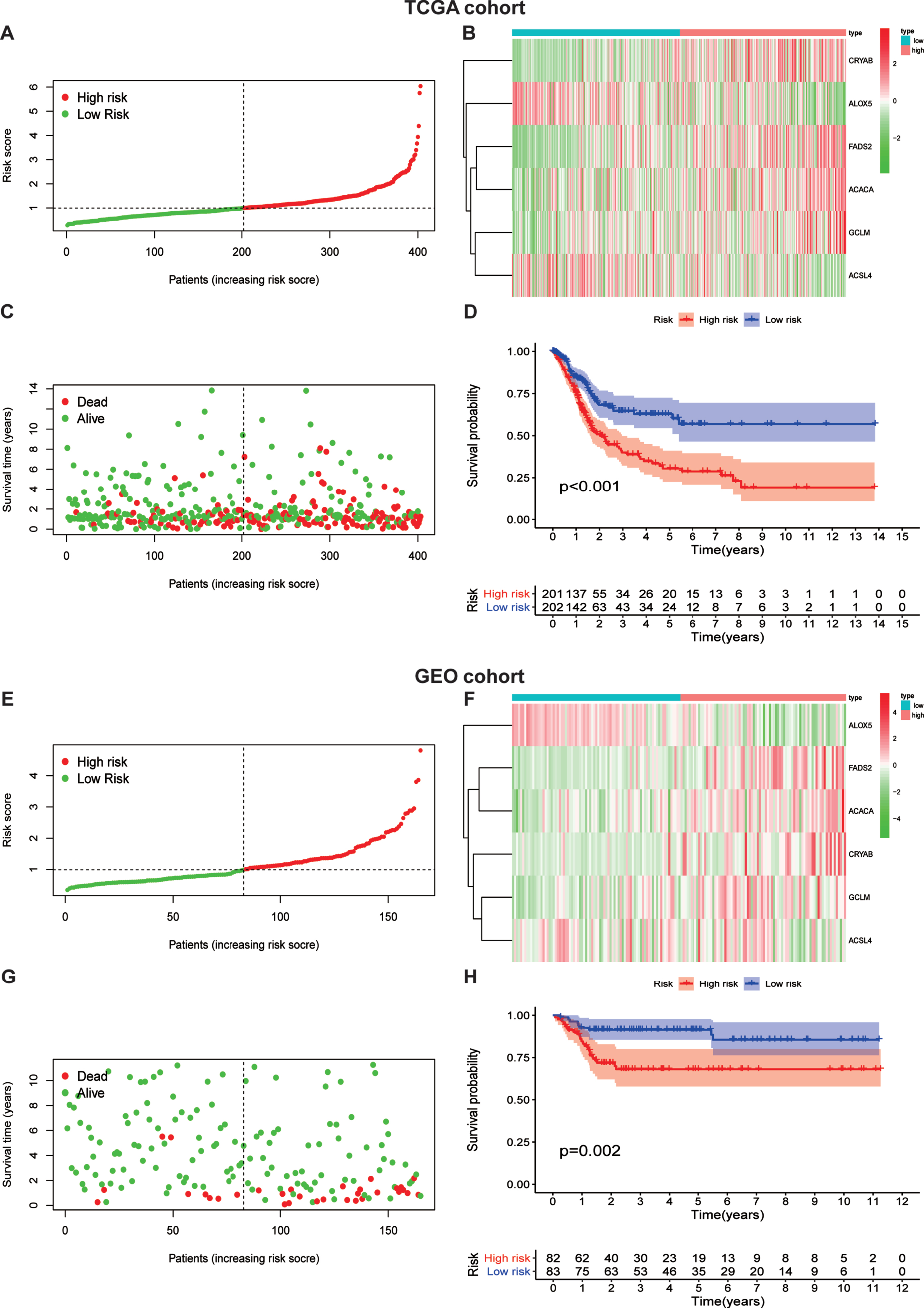 Identification of a Novel Ferroptosis-Related Gene Signature for