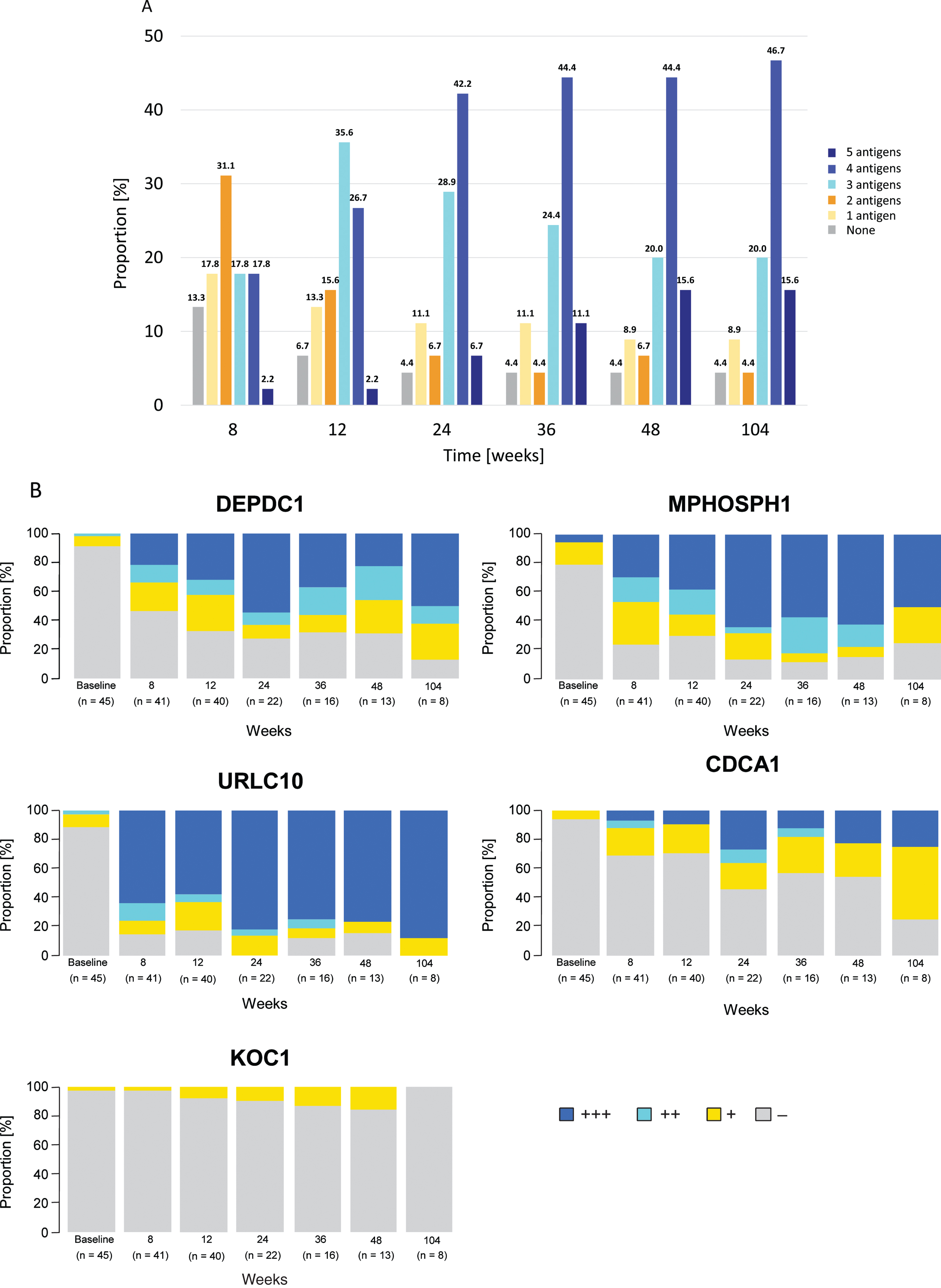 A Phase 2 Study of S-588410 Maintenance Monotherapy for Platinum