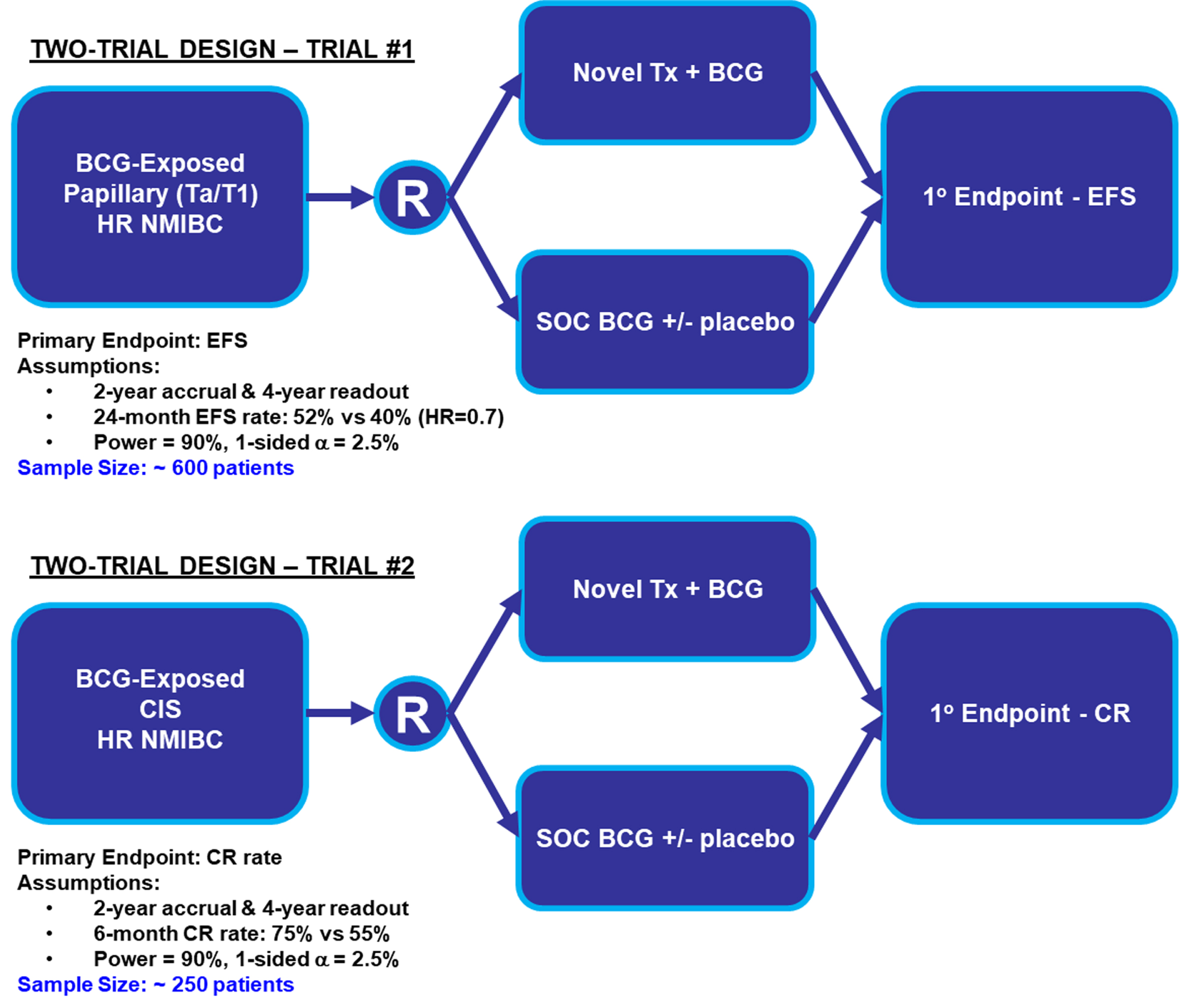 Advancing Clinical Trial Design For Non-Muscle Invasive Bladder Cancer ...