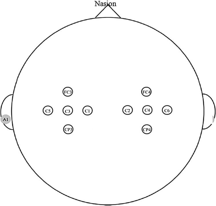 single-trial-eeg-analysis-using-similarity-measure-ios-press