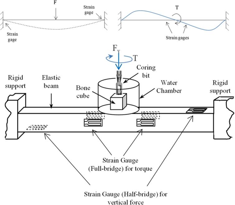 Effect Of Coring Conditions On Temperature Rise In Bone - Ios Press