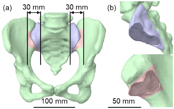 Experimental characterization of motion resistance of the sacroiliac ...