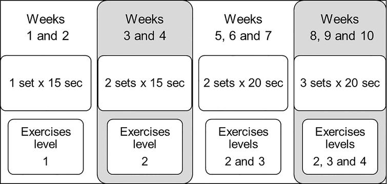 Pain perception and low back pain functional disability after a 10-week Sns-Brigh10