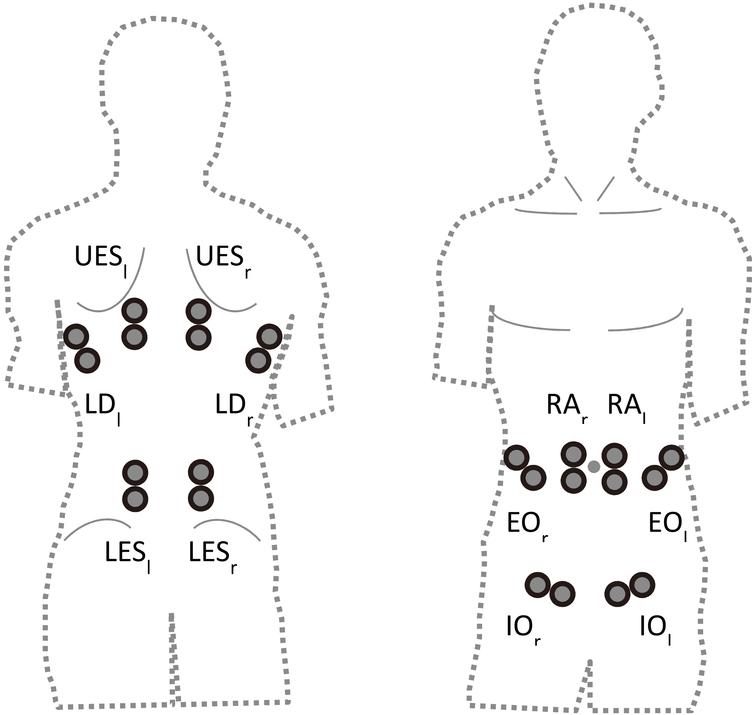 Trunk peak torque, muscle activation pattern and sudden loading ...