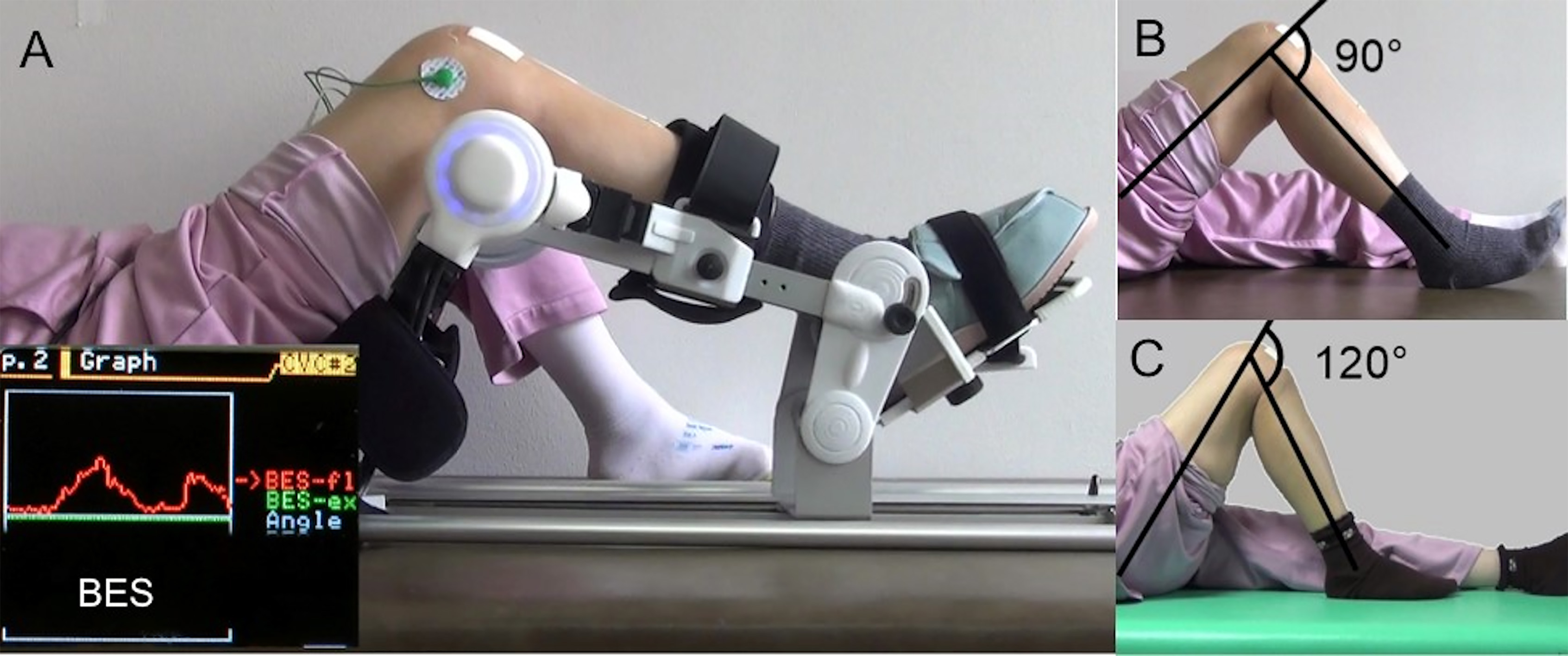 Feasibility Of Supplemental Robot-assisted Knee Flexion Exercise ...