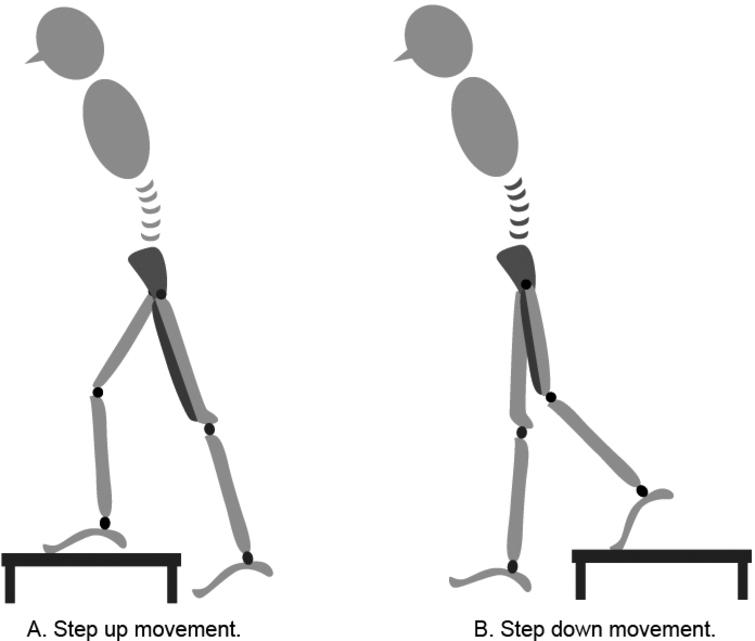 the-effects-of-differences-on-sagittal-kinematics-and-muscle