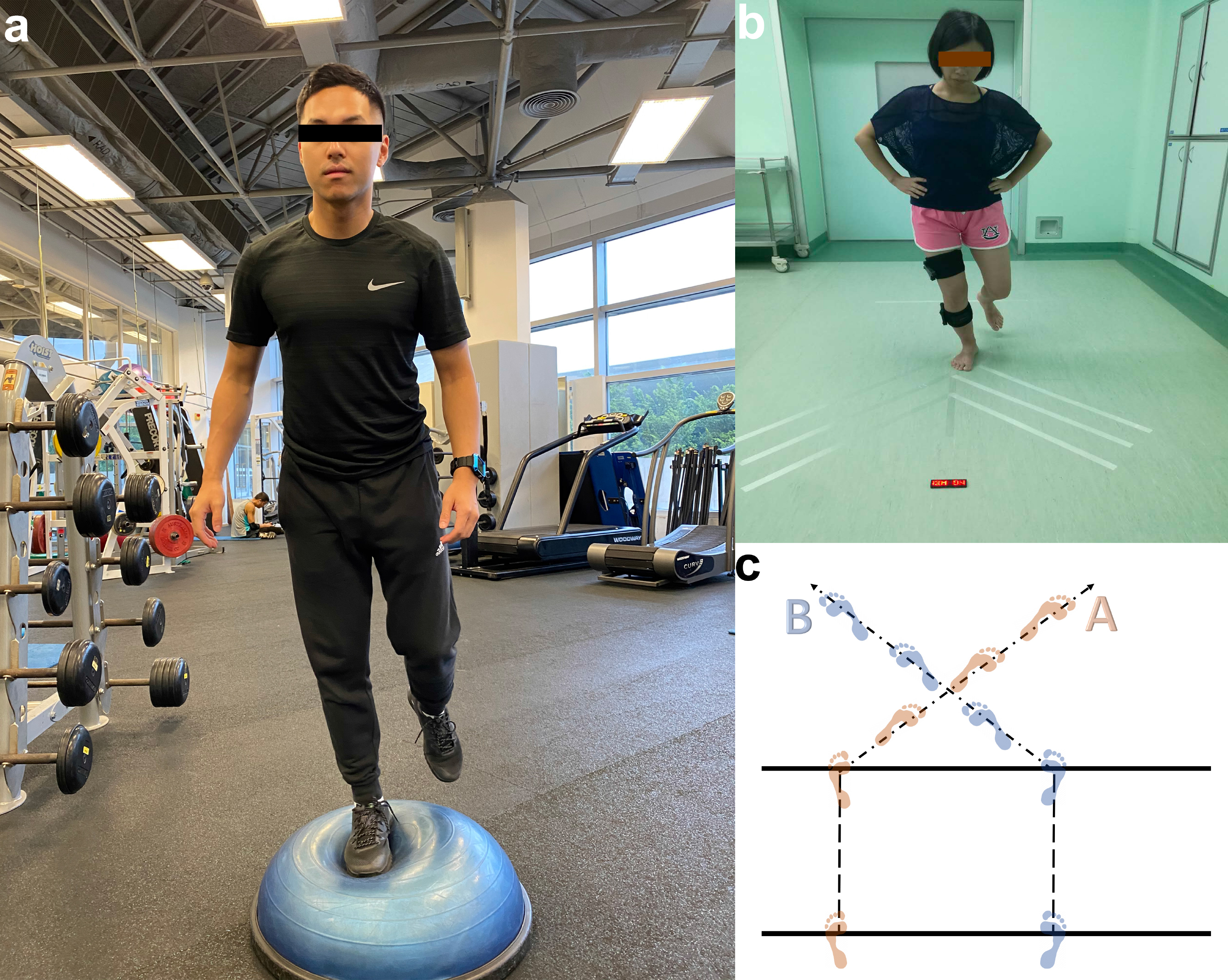 The effect of proprioception training on knee kinematics after