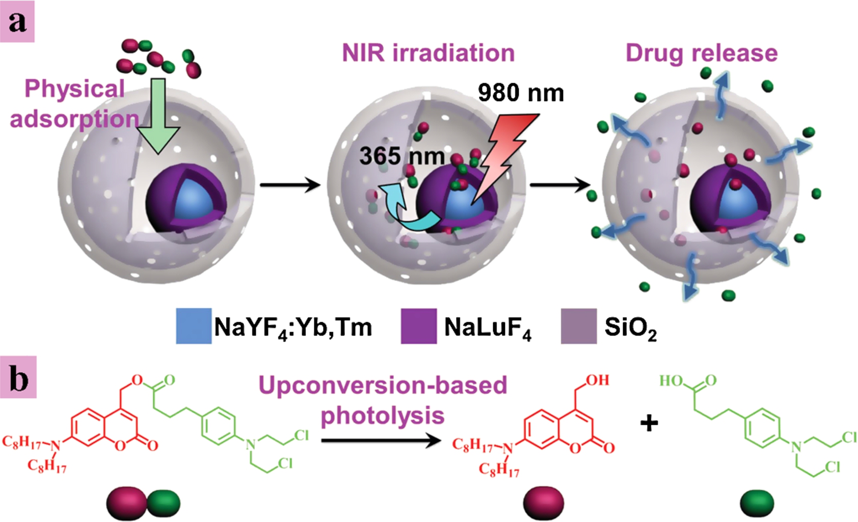 The Modified Upconversion Nanomaterials (UCNMs) For Multimodal Imaging ...