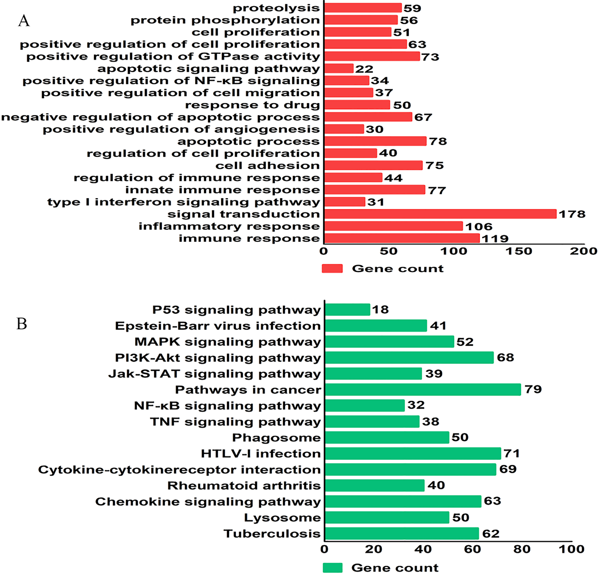 The Expression Of CCL18 In Diffuse Large B Cell Lymphoma And Its ...