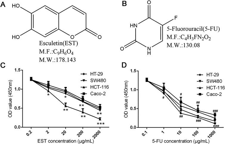 Esculetin Enhances The Inhibitory Effect Of 5 Fluorouracil On The Proliferation Migration And Epithelial Mesenchymal Transition Of Colorectal Cancer Ios Press