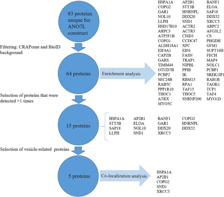 Interactome software