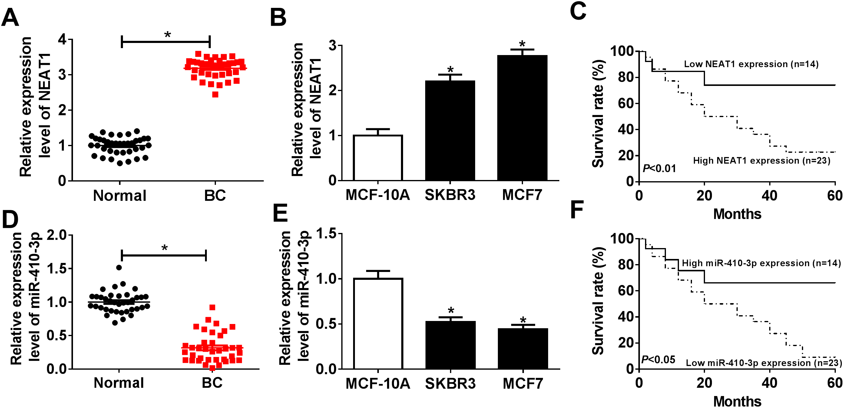 LncRNA NEAT1 accelerates breast cancer progression through