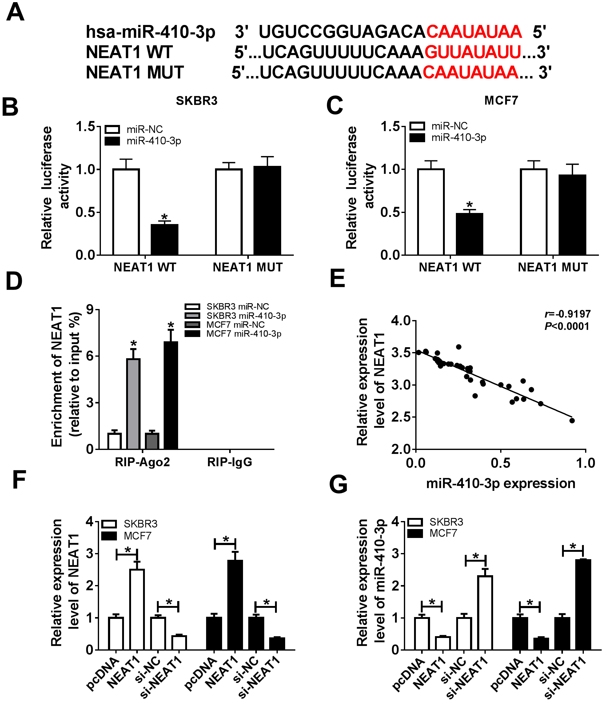 Lncrna Neat1 Accelerates Breast Cancer Progression Through Regulating Mir 410 3p Ccnd1 Axis 2732