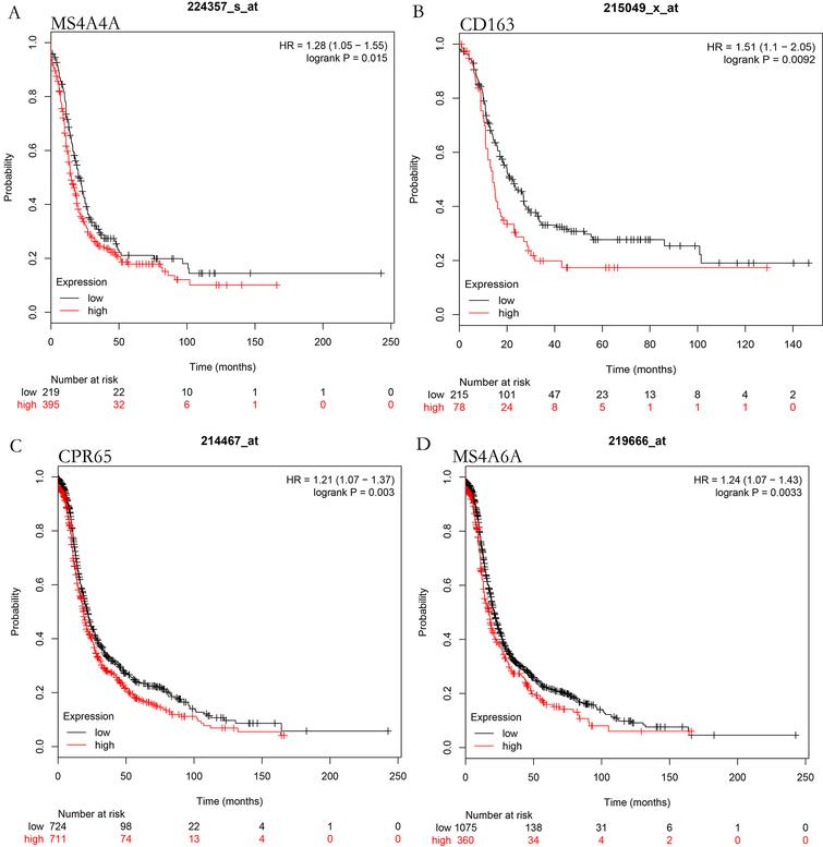 Four Genes Relevant To Pathological Grade And Prognosis In Ovarian Cancer Ios Press