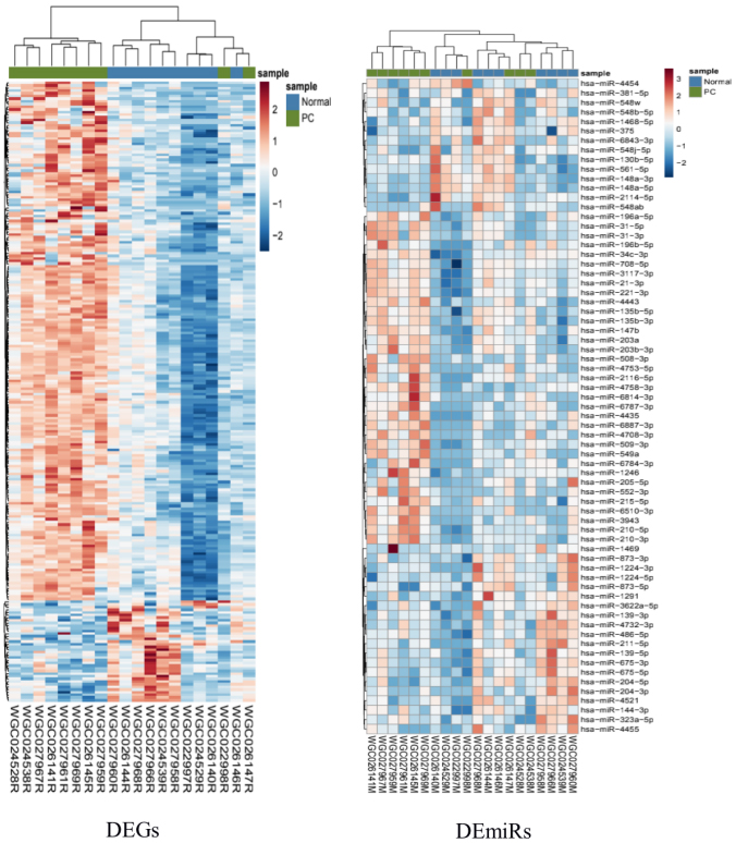 Identification of potential core genes at single-cell level ...