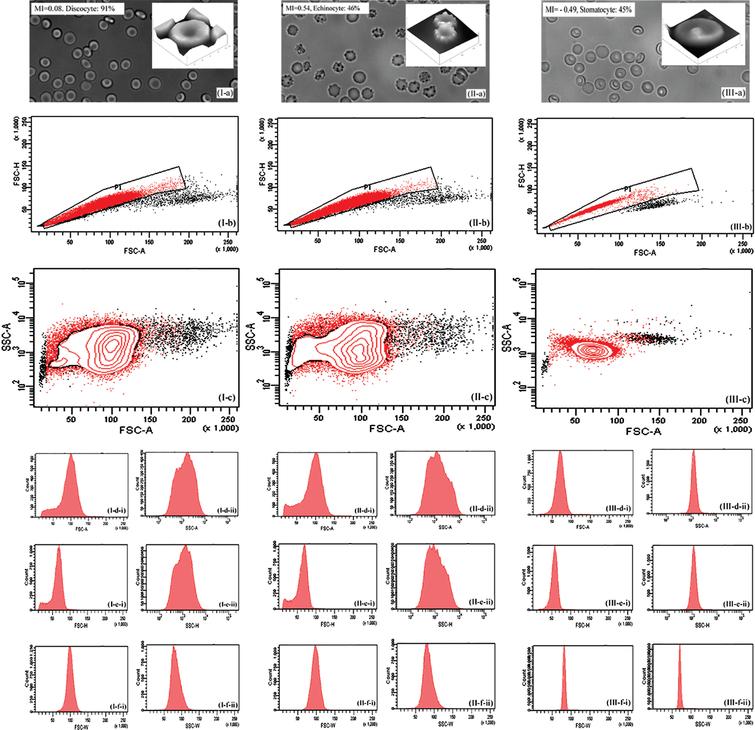 Quantifying morphological alteration of RBC population from light ...