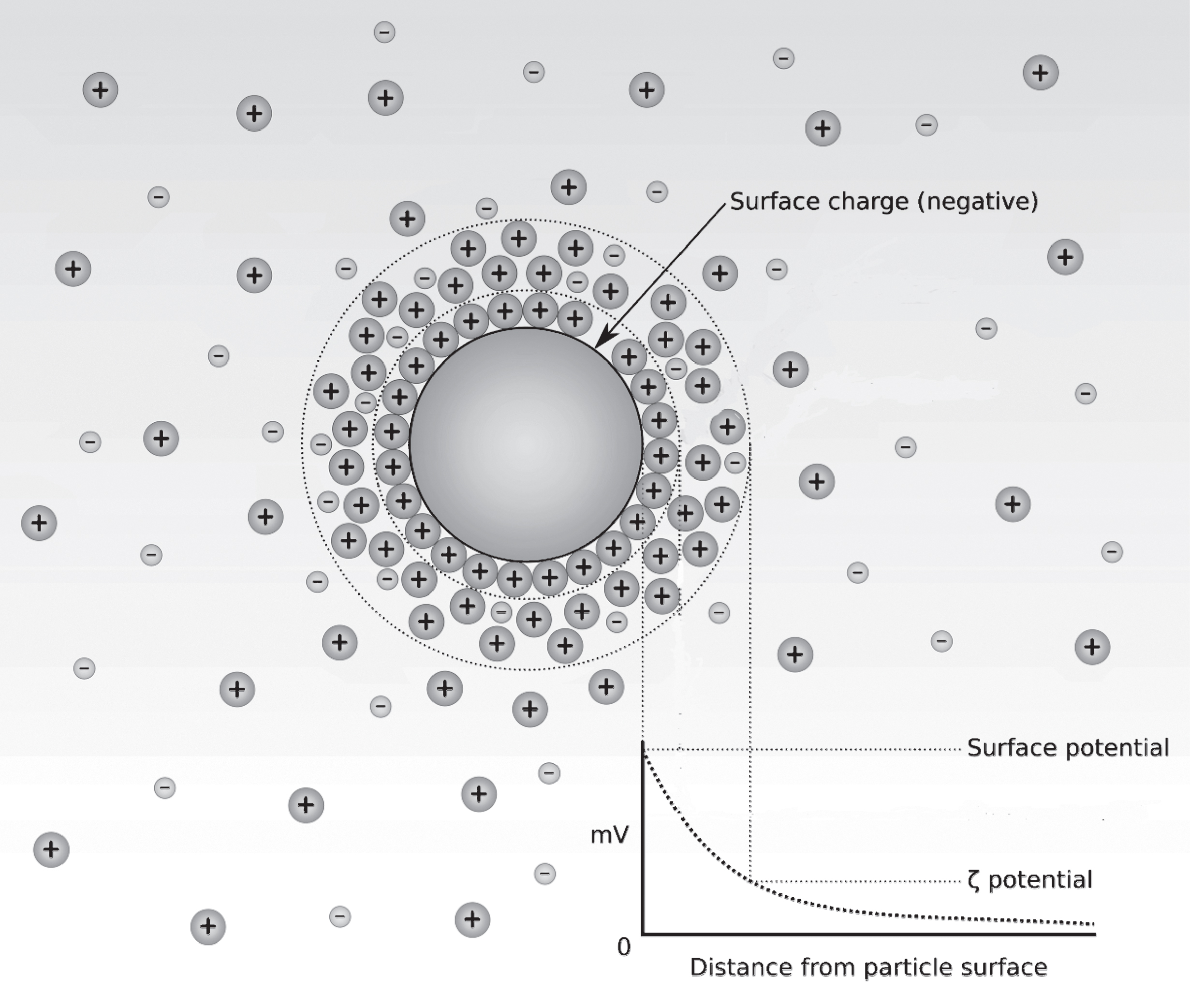 Uric acid increases erythrocyte aggregation: Implications for ...