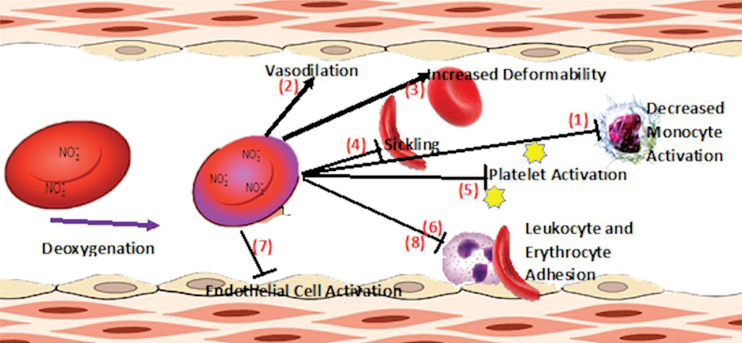 Nitric oxide pathology and therapeutics in sickle cell disease - IOS Press