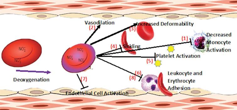 Nitric oxide pathology and therapeutics in sickle cell disease - IOS Press