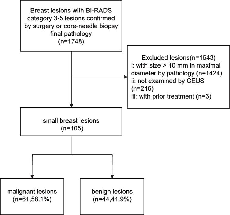 Application of contrast-enhanced ultrasound in the diagnosis of small ...