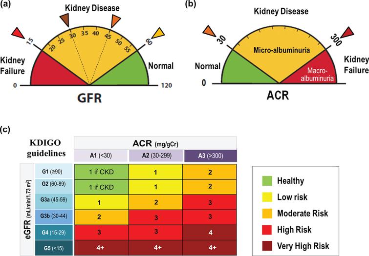 Critical shear stress of red blood cells as a novel integrated ...