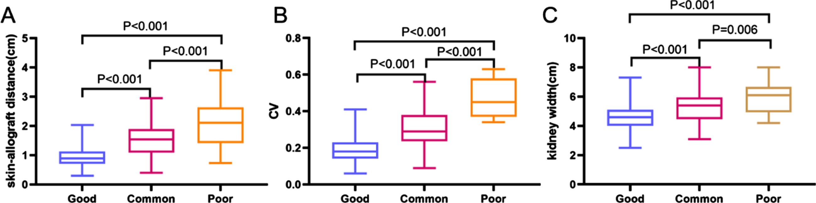 Shear wave elastography using high-frequency linear probe for kidney ...