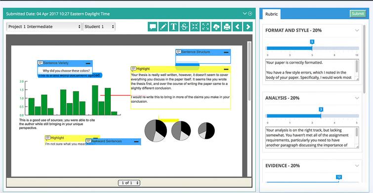 Toward Peer-review Software And A Rubric Application In Visual 