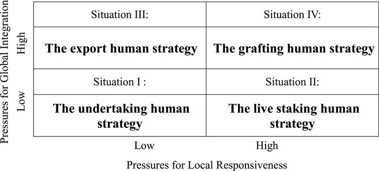 A systematic framework for international human strategies - IOS Press