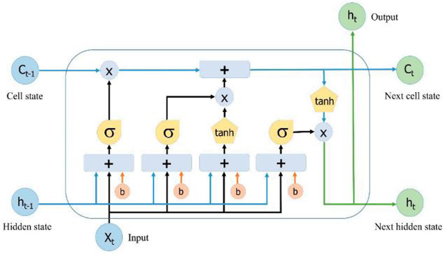 Tunicate swarm-based grey wolf algorithm for fetal heart chamber ...