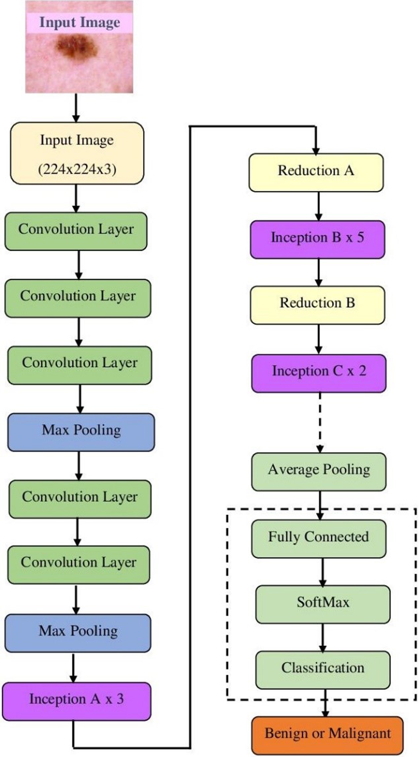 Classification of skin lesion images using modified Inception V3 model ...