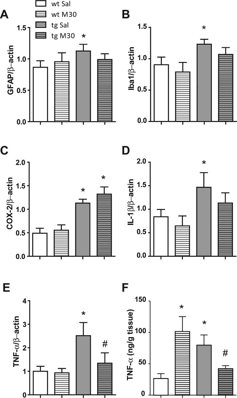 The Multi-Target Drug M30 Shows Pro-Cognitive and Anti-Inflammatory ...