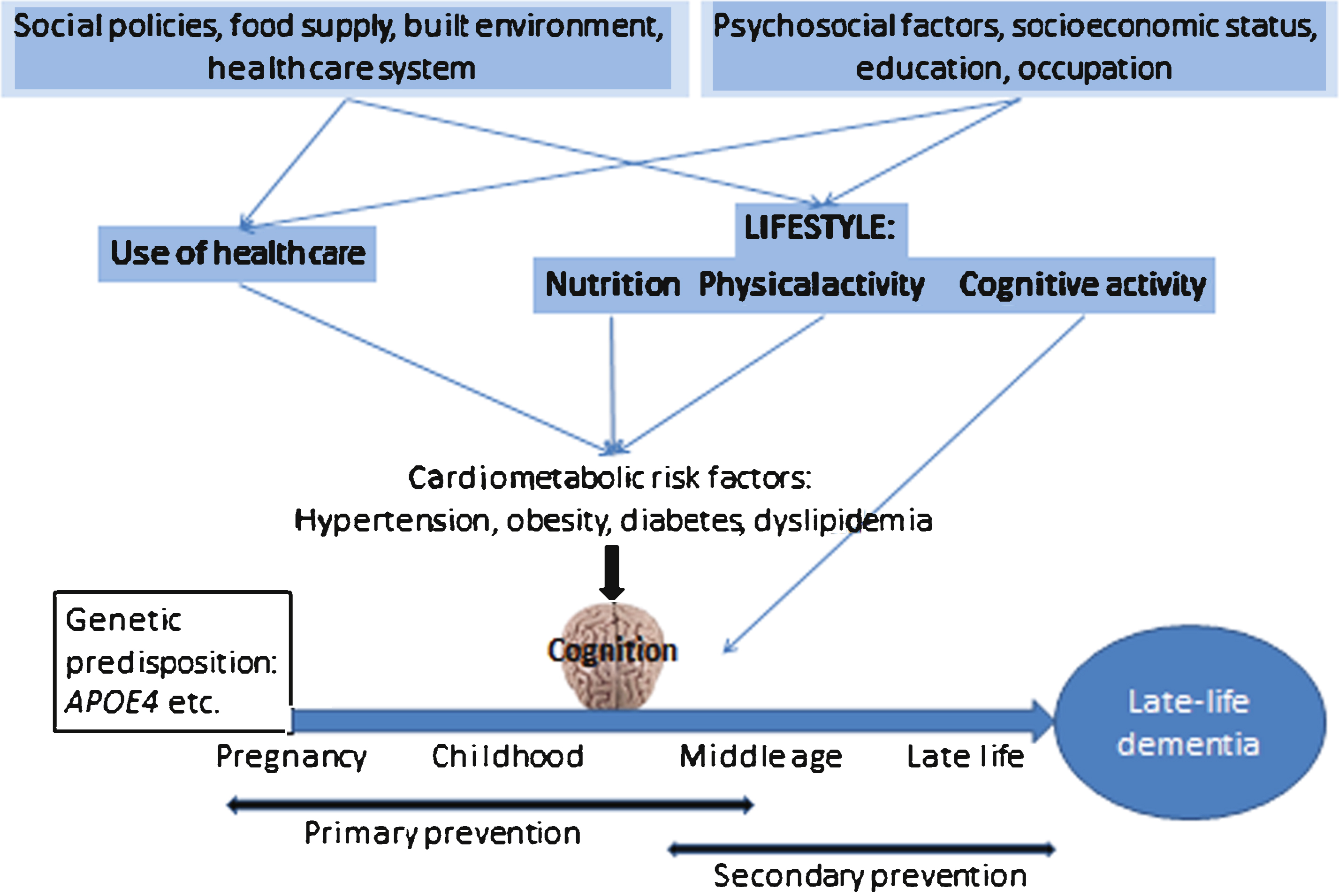 Prevention Of Age-Related Cognitive Decline: Which Strategies, When ...