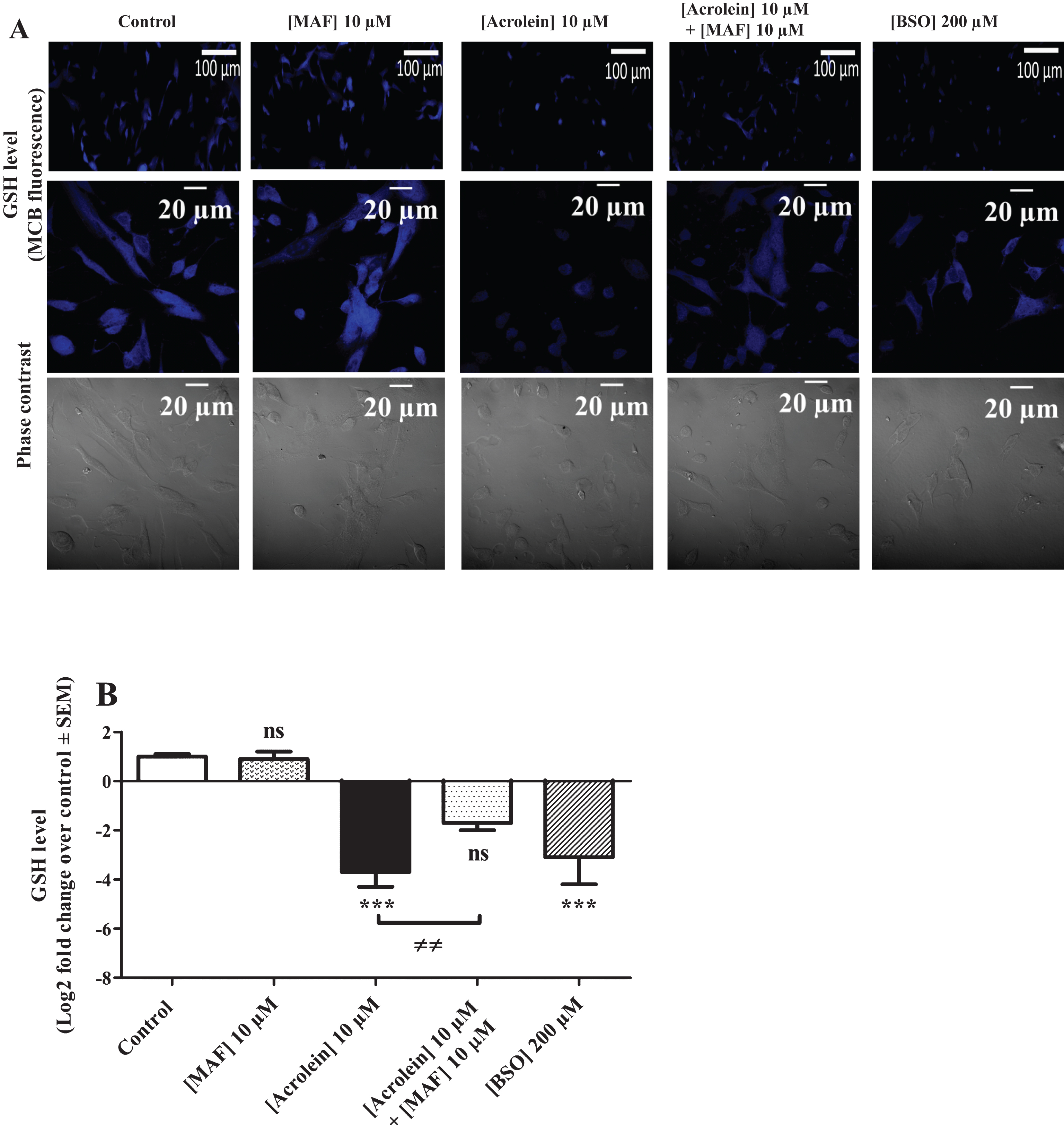 Anthocyanins Protect SK-N-SH Cells Against Acrolein-Induced Toxicity By ...