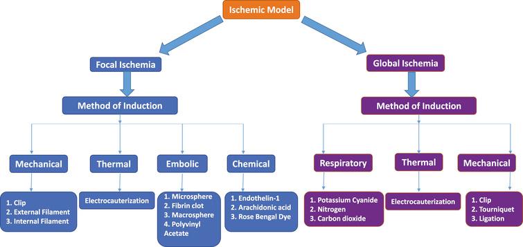 Stroke, Vascular Dementia, and Alzheimer’s Disease: Molecular Links ...