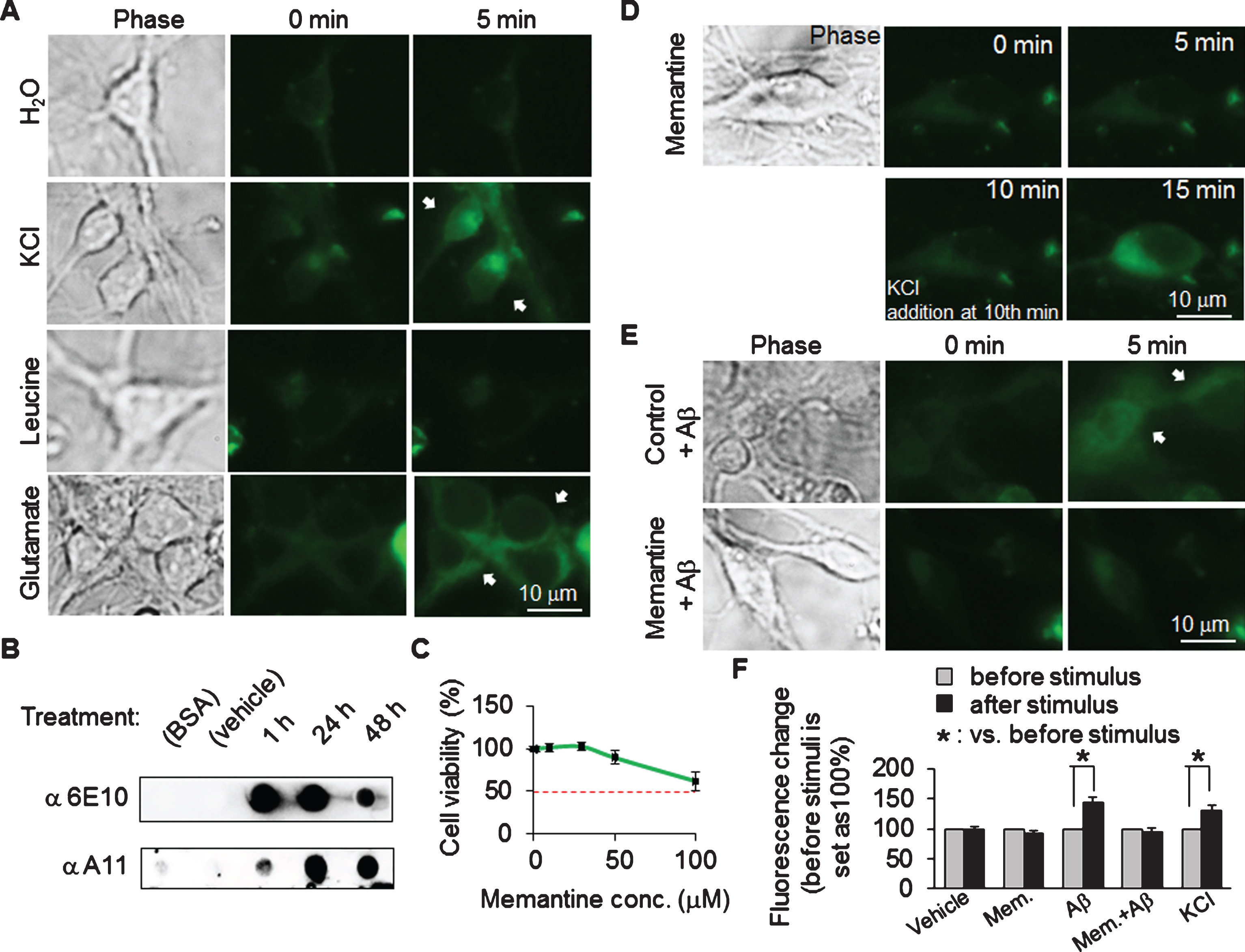 An Improved Drugs Screening System Reveals that Baicalein Ameliorates ...