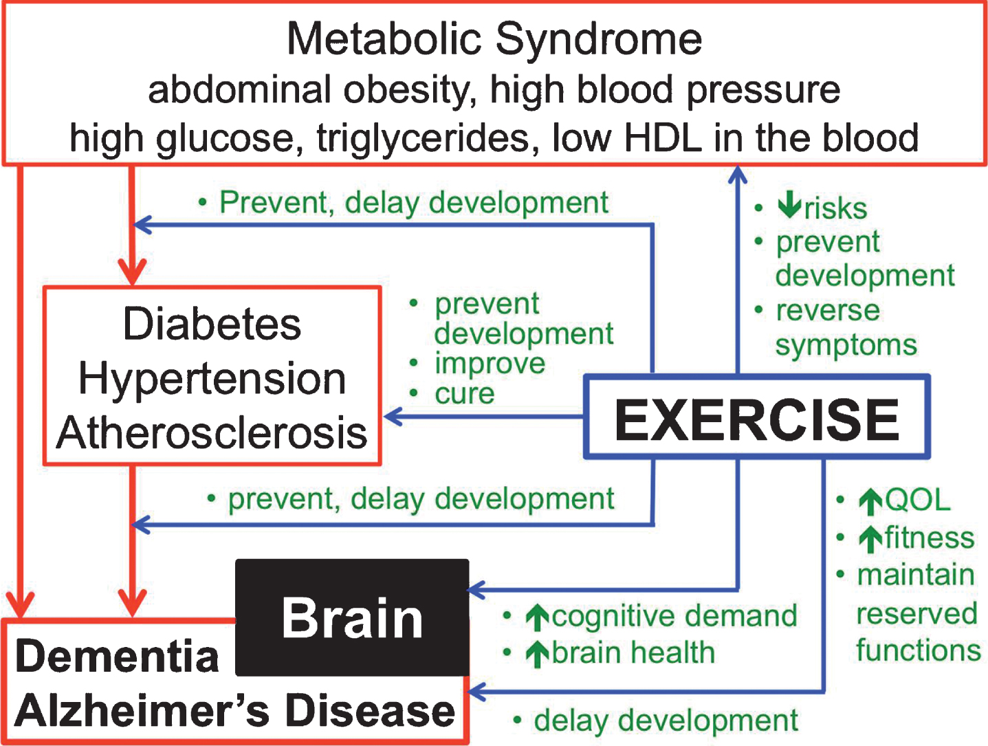 Effects Of Exercise On Type 2 Diabetes Mellitus-Related Cognitive ...